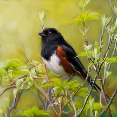 Bird Giclée Print No. 04 — giclée art print by ArtFeliz